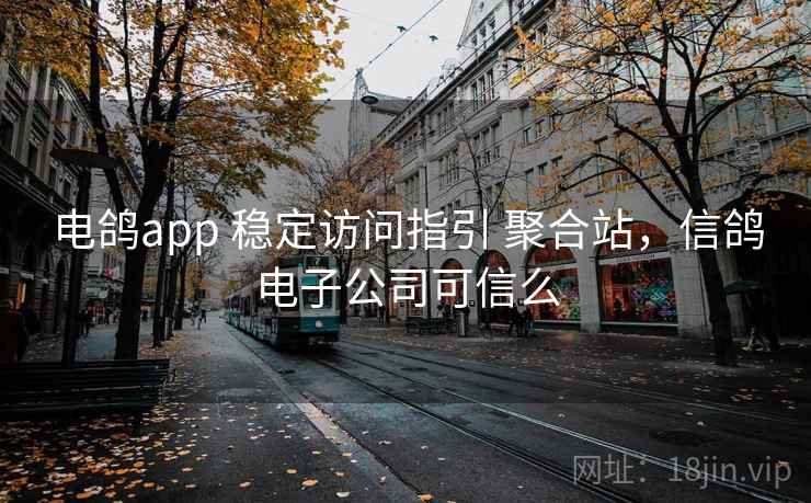 电鸽app 稳定访问指引 聚合站，信鸽电子公司可信么