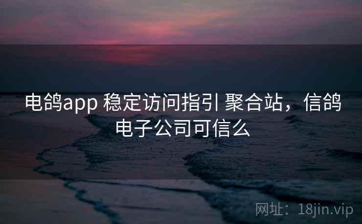 电鸽app 稳定访问指引 聚合站，信鸽电子公司可信么