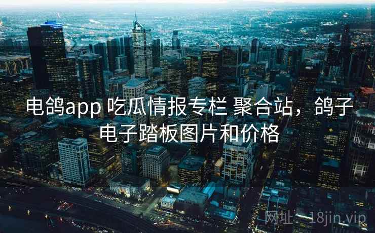电鸽app 吃瓜情报专栏 聚合站，鸽子电子踏板图片和价格