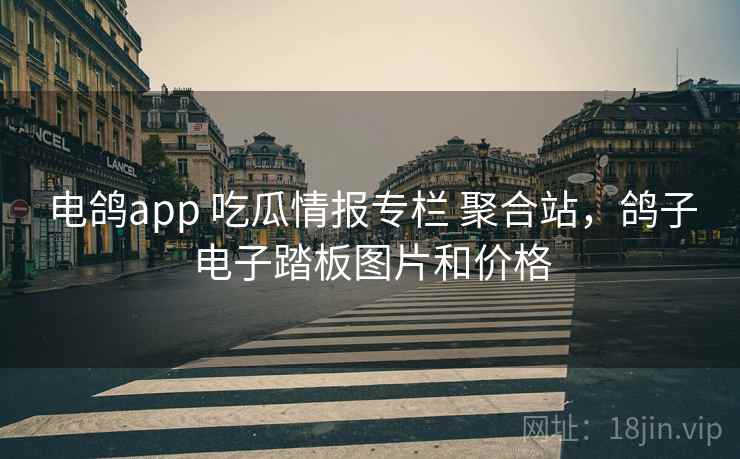 电鸽app 吃瓜情报专栏 聚合站，鸽子电子踏板图片和价格