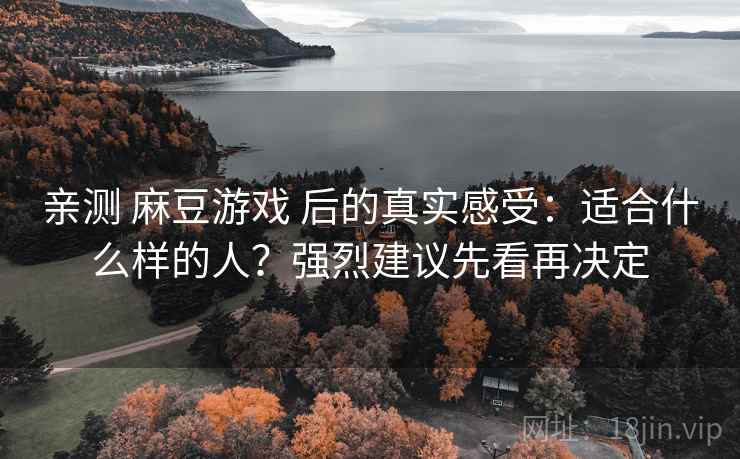 亲测 麻豆游戏 后的真实感受：适合什么样的人？强烈建议先看再决定
