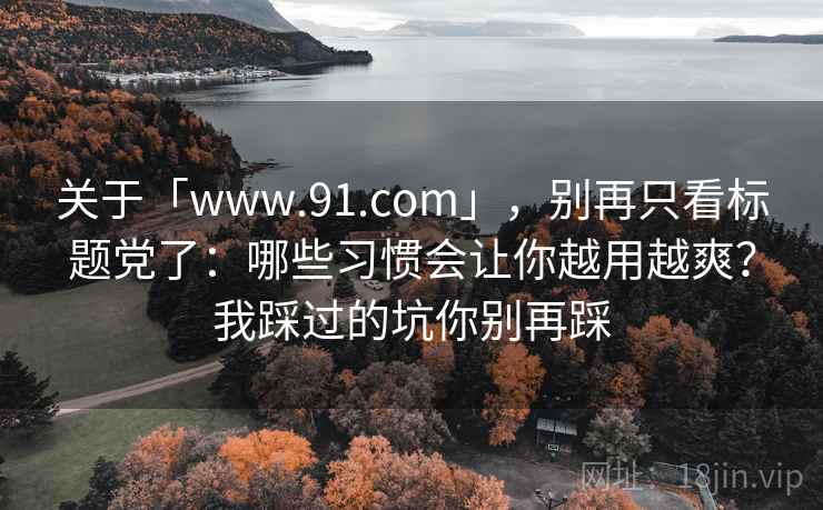 关于「www.91.com」，别再只看标题党了：哪些习惯会让你越用越爽？我踩过的坑你别再踩