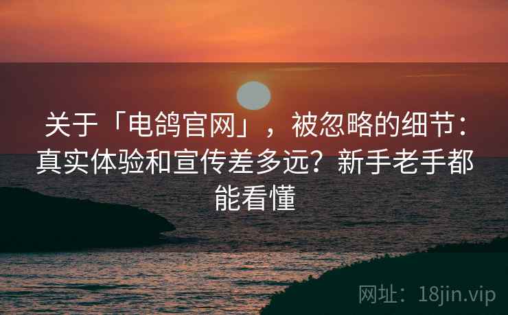 关于「电鸽官网」，被忽略的细节：真实体验和宣传差多远？新手老手都能看懂