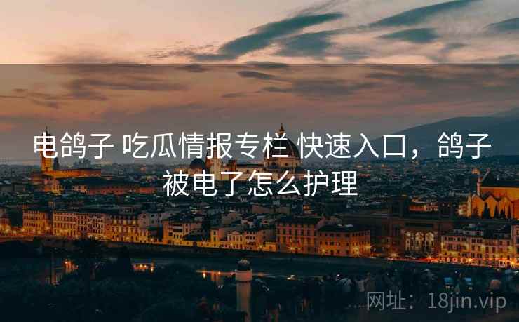 电鸽子 吃瓜情报专栏 快速入口，鸽子被电了怎么护理