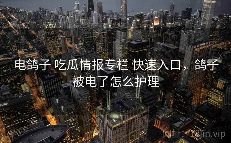 电鸽子 吃瓜情报专栏 快速入口，鸽子被电了怎么护理