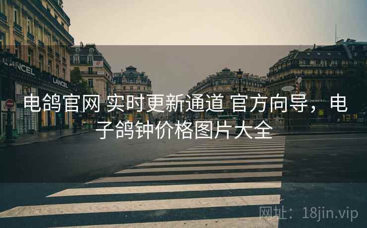 电鸽官网 实时更新通道 官方向导，电子鸽钟价格图片大全