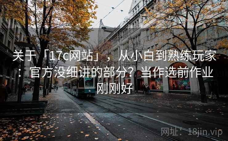 关于「17c网站」，从小白到熟练玩家：官方没细讲的部分？当作选前作业刚刚好