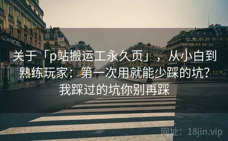 关于「p站搬运工永久页」，从小白到熟练玩家：第一次用就能少踩的坑？我踩过的坑你别再踩